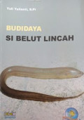 Budidaya si Belut Lincah
